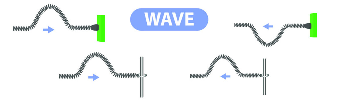 physics. spring stretched. transverse waves. longitudinal. The difference between throwing and periodic wave formation. longitudinal wave generation. periodically generated transverse waves. infograph