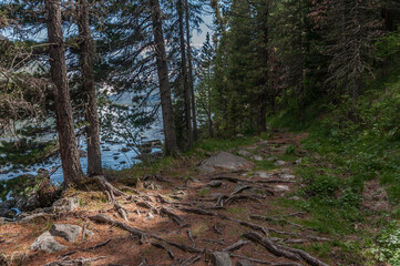 Obraz premium A highland lake in Altai mountains