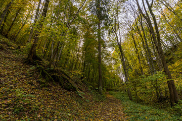 Fototapeta premium Fantastic autumn hike in the beautiful Danube valley near the Beuron monastery