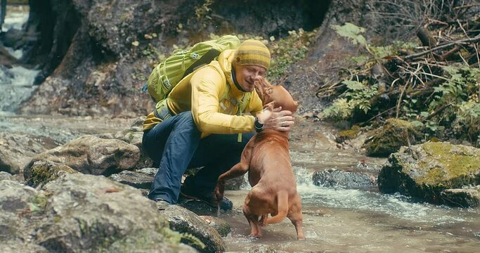 Traveler Man trekker with him dog walk around mountains in sunny day. Backpacker walking in Outdoors. Health care, authenticity, sense of balance and calmness. 4K Slow motion