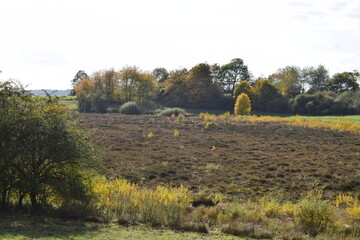 herbstlich buntes Sumpfmaar Strohner Märchen