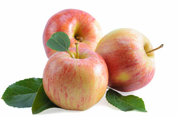 fruits of apples