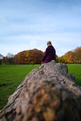Kobieta siedząca na kłodzie drewna w jesiennym  parku. - obrazy, fototapety, plakaty