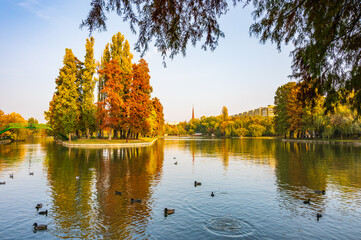 autumn landscape with lake