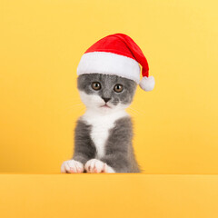 Cute gray playful cat in a Santa Claus hat, against a yellow background. Concept postcards for Christmas.