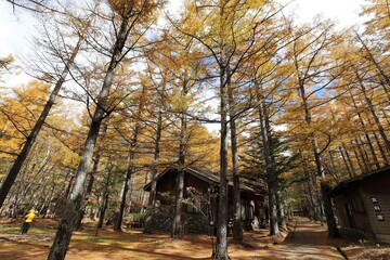 上高地の紅葉