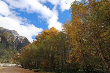 Obraz premium 上高地の紅葉