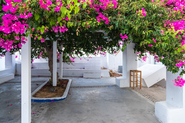 Fototapeta na wymiar Courtyard among white buildings, Oia, Santorini, Greece.