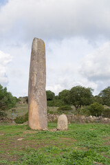 Menhir megalith stone in Sardinia Sardegna Italy big megalith stone standing in field archeological monument history, Villa Sant'Antonio, Sardinia
