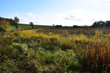 herbstlich buntes Sumpfmaar Strohner Märchen