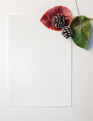 Autumn greeting card. White mockup paper sheet with leaves and pine cones decoration on white background. Copy space