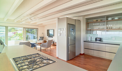 Modern home showcase interior kitchen