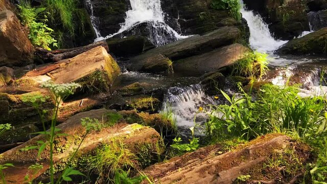 Selkefall im Harz mit flie&szlig;endem Wasser