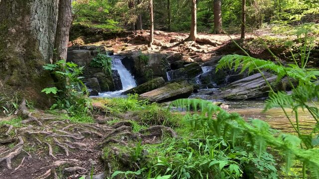 Selkefall im Selketal im Harz im Sommer bei Tageslicht