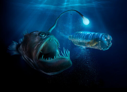 Scary deep sea fish with light examining fish in plastic water bottle