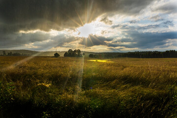 sunset over the field