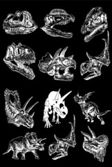 Obraz na płótnie Canvas Graphical set of dinosaurs isolated on black background,vector engraved illustration,elements