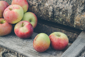 pink fruit apples on wooden boards in the yard in the village