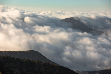 Morning Clouds