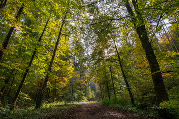 Fantastic autumn hike in the beautiful Danube valley near the Beuron monastery