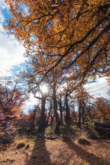 Charming autumn scenery, a famous tourist attraction in Latin America. The location is in the Glacier National Park, Argentina.