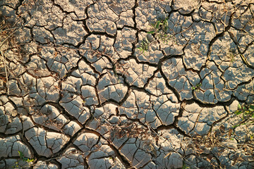 Top view of cracked dry soil surface in the sunlight