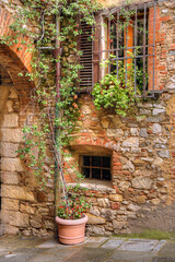 Windows, arch and wall with climbing vine on street in Castellina, Tuscany, Italy