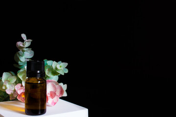 glass brown jars with plant stracts and oils on a black background. For cosmetics or cosmetology background. stand for advertising beauty products. Plants decor eucalyptus, fern, spruce