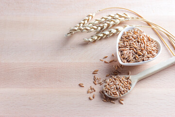 Uncooked organic whole spelt grain in a bowl with a wooden spoon and spelt ears on the Wooden background. Copy space.