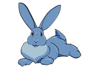Blue-Gray Flemish Giant Rabbit