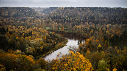 River flowing through autumn forest in Gauja National Park.