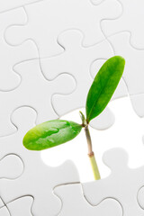 パズルピースと双葉