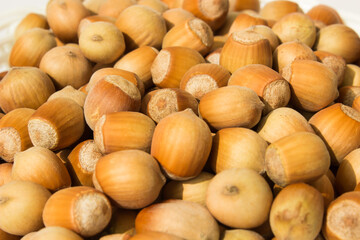 ripe hazelnuts in a peel on a white background	