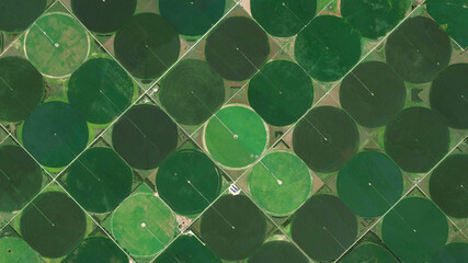 Center pivot irrigation system, circular fields and food safety, looking down aerial view from...