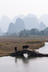 Chinese traditional living habits, traveling in Guilin, China, a farmer is plowing the land.