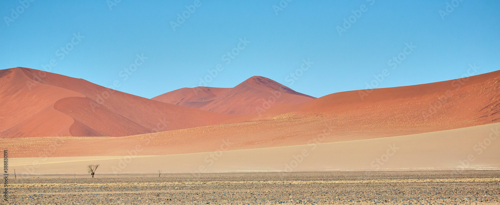 Wall mural Amazing landscape in Namibia, Africa