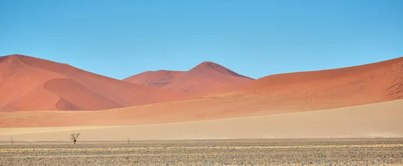 Foto op Plexiglas Zalmroze Amazing landscape in Namibia, Africa