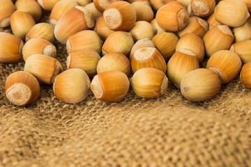 ripe hazelnuts in a peel on a background of old burlap