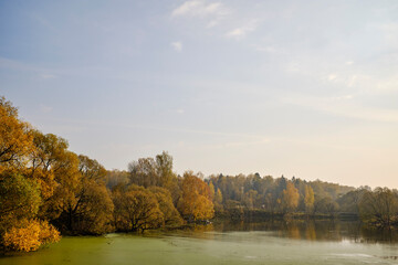 Autumn landscape. The pond is half overgrown with duckweed and an old crumbling bridge, along the bank of which trees with yellowed foliage grow, on a foggy morning.