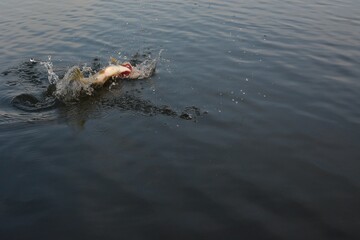 Summer fishing, pike fishing, spinning on the lake