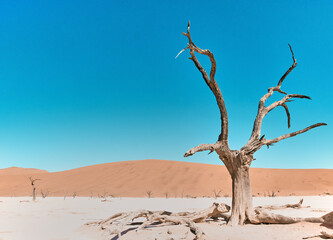 Amazing landscape in Namibia, Africa