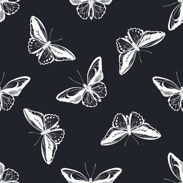 Seamless pattern with hand drawn chalk common green birdwing, wallace s golden birdwing