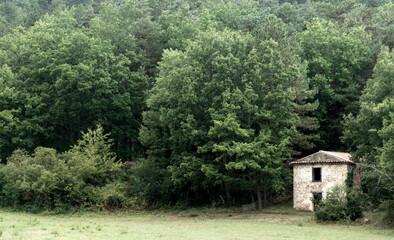 Maison agricole dans les bois à Arques, France