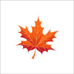 MAPLE logo exclusive design inspiration
