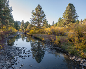 Fototapeta na wymiar Drews Creek flowing next to Drews Creek Campground in Lake County outside Lakeview, Oregon.