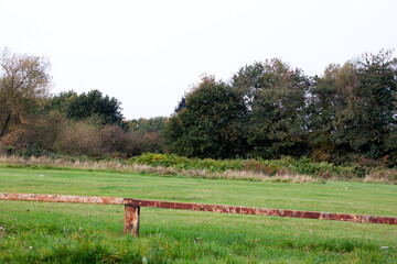 Autumn trees and road overlooking a field