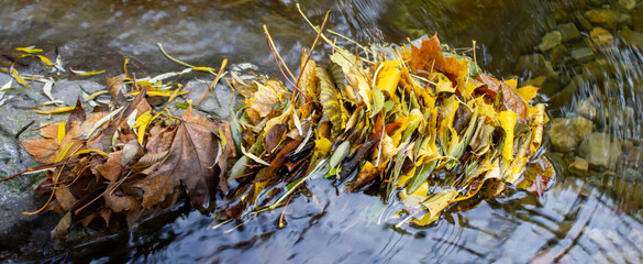 Herbst mit bunten Blättern, welche im Wasser zusammen gestaut sind