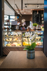 Flowers pot on the wooden table in front of indoor restaurant with fridge full of food and amazing interior lights
