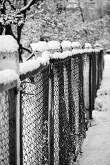 The fence is made of netting covered with snow. Blurred snow-covered trees in the background.