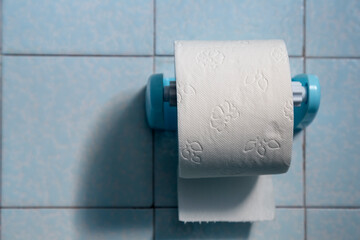 Roll of toilet paper on plastic paper holder
